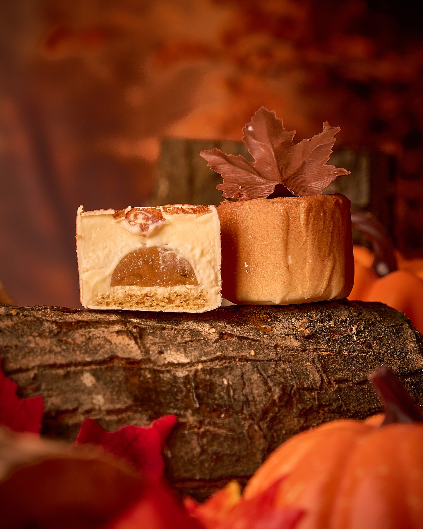 Tronco de otoño