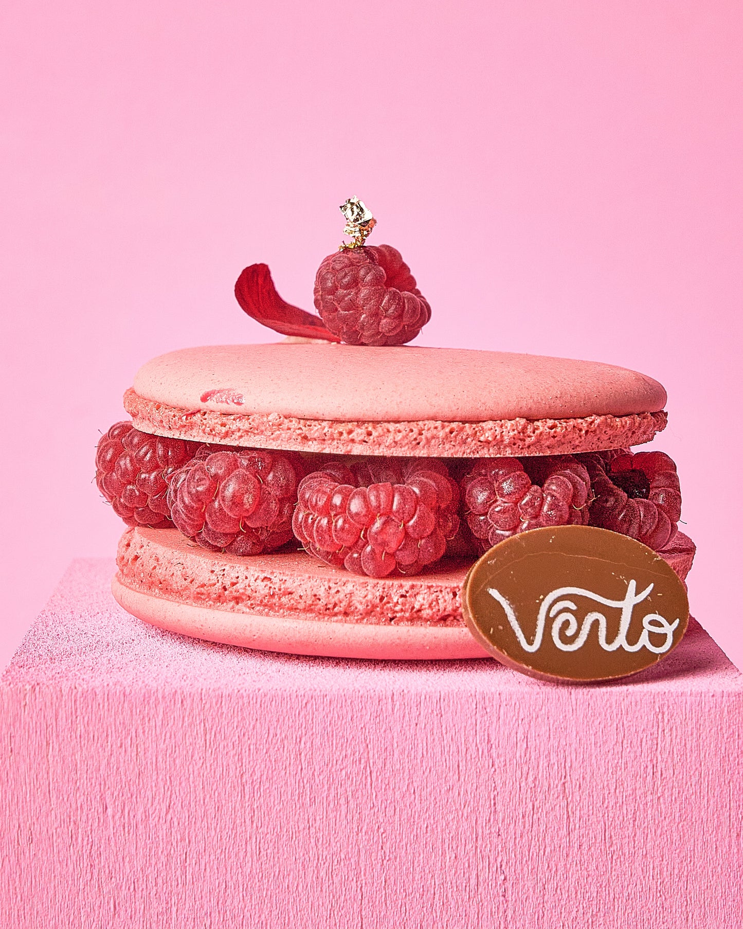 Macaron de Frambuesa