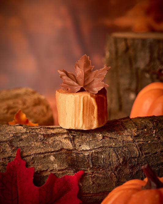 Tronco de otoño